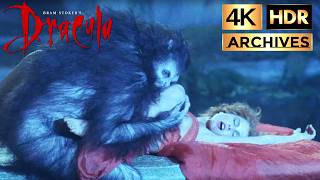 Bram Stokers Dracula  4K  HDR  Dracula Bites Lucy The First Time  Rain Scene 1992