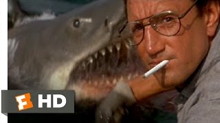 Jaws 1975  Youre Gonna Need a Bigger Boat Scene 410  Movieclips