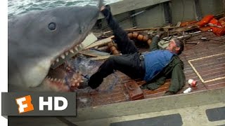 Jaws 1975  Quint Is Devoured Scene 910  Movieclips