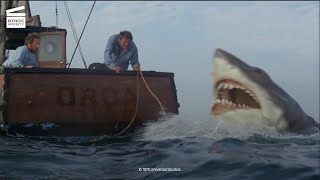 Jaws Shark with barrels HD CLIP