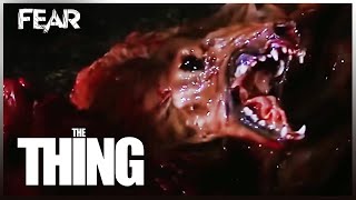 The Thing Dog Transformation Scene  The Thing 1982  Fear