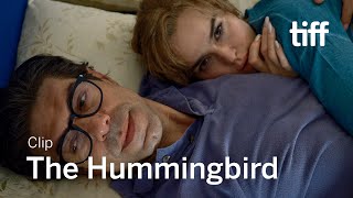 THE HUMMINGBIRD Clip  TIFF 2022