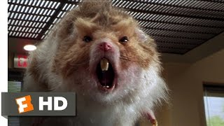 Nutty Professor 2 The Klumps 89 Movie CLIP  Giant Hamster Attack 2000 HD