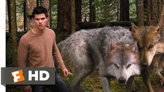 Twilight Breaking Dawn Part 2 310 Movie CLIP  A Wolf Thing 2012 HD