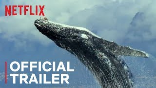 Our Planet  Official Trailer HD  Netflix