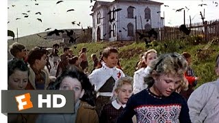 Crows Attack the Students  The Birds 611 Movie CLIP 1963 HD