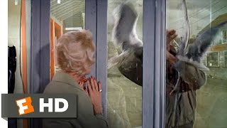 The Birds 811 Movie CLIP  Trapped in a Phone Booth 1963 HD