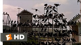 Crows on the Playground  The Birds 511 Movie CLIP 1963 HD