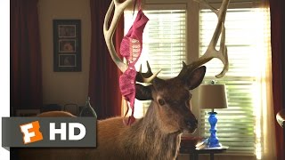 Grown Ups 2  Deer In the House Scene 110  Movieclips