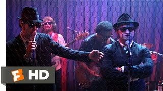 The Blues Brothers 1980  Rawhide Scene 59  Movieclips