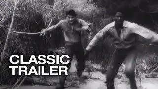 The Defiant Ones Official Trailer 1  Tony Curtis Movie 1958 HD