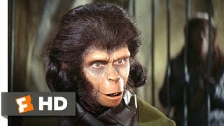 Planet of the Apes 25 Movie CLIP  Human See Human Do 1968 HD