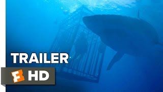 47 Meters Down Trailer 2 2017  Movieclips Trailers