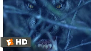 Van Helsing 2004  Werewolf on the Loose Scene 110  Movieclips
