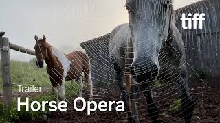 HORSE OPERA Trailer  TIFF 2022