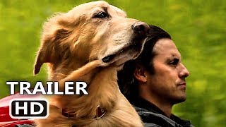 THE ART OF RACING IN THE RAIN Trailer 2019 Romantic Comedy Movie