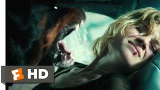 Dont Breathe 2016  Trapped in a Car Scene 910  Movieclips
