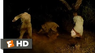 Out of Africa 310 Movie CLIP  Lions Attack Karens Ox 1985 HD