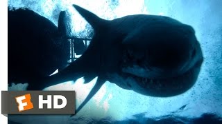 The Shallows 1010 Movie CLIP  Impaled 2016 HD