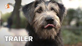 Lady and the Tramp Trailer 2 2019  Movieclips Trailers