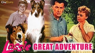 Lassies Great Adventure 1963  Family Drama Movie  June Lockhart Hugh Reilly