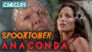 Final Showdown With Anaconda  Anaconda  CineClips