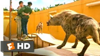 Kung Fu Yoga 2017  The Hyena Pit Scene 710  Movieclips