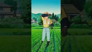 The simple life  Studio Ghibli and Isao Takahatas ONLY YESTERDAY in theaters Aug 28  29