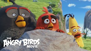 THE ANGRY BIRDS MOVIE   Official Theatrical Trailer HD