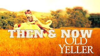 Old Yeller 1957  Then and Now 2021