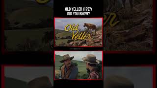Did you know THIS about OLD YELLER 1957
