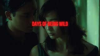 Understanding Days of Being Wild 1990  Life Goes On