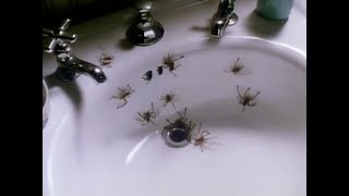 Arachnophobia 1990 Theatrical Trailer