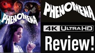 Phenomena 1985 4K UHD Bluray Review