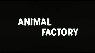 Animal Factory  Bande Annonce VOST