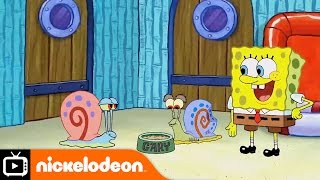 SpongeBob SquarePants  Snail Sanctuary  Nickelodeon UK