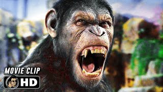 RISE OF THE PLANET OF THE APES Clip  Caesar Says No 2011 SciFi