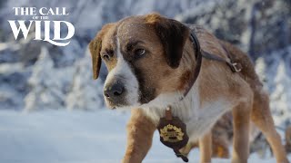 The Call of the Wild  New Lead Dog Clip