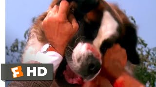 Beethoven 1992  Framing Beethoven Scene 710  Movieclips