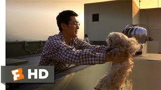 Barking Dogs Never Bite 2000  Disposing of the Dog Scene 111  Movieclips