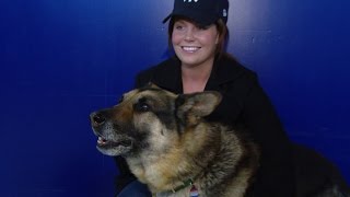 Marine Who Fought to Adopt K9 Partner in Iraq Is Now a Movie Megan Leavey