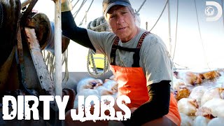 Mike Rowe Is Up to His Knees in Jellyfish  Dirty Jobs