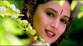 Dekha Hai Pehli Baar  4K Video Song  Salman Khan Madhuri Dixit  Saajan  90s Best Romantic Song