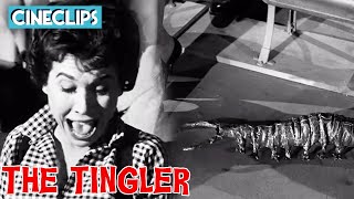 The Tingler Loose In The Movie Theater  The Tingler  CineClips
