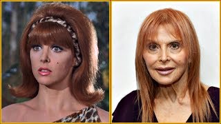 Gilligans Island 19641967  Cast Then and Now 2019