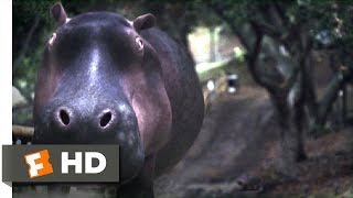 San Andreas Quake 510 Movie CLIP  Angry Angry Hippo 2015 HD