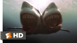 2Headed Shark Attack 910 Movie CLIP  Fears Dont Get Over Themselves 2012 HD
