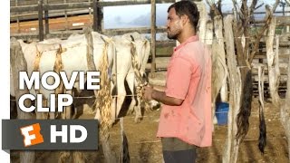 Neon Bull Movie CLIP  Tails 2016  Juliano Cazarr Maeve Jinkings Drama HD