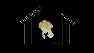 The Wolf House 2018 Retrospective