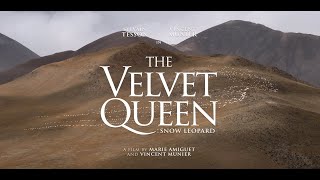 The Velvet Queen Snow Leopard UK Trailer  Codirected by Nikon Ambassador Vincent Munier